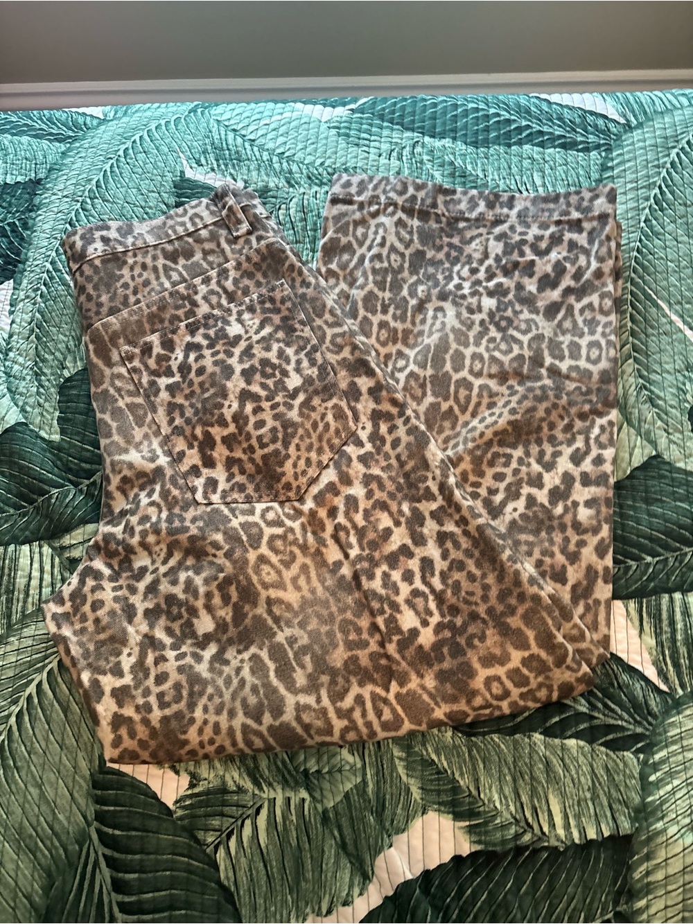Jaded London Leopard Print Casual Pants - Brown